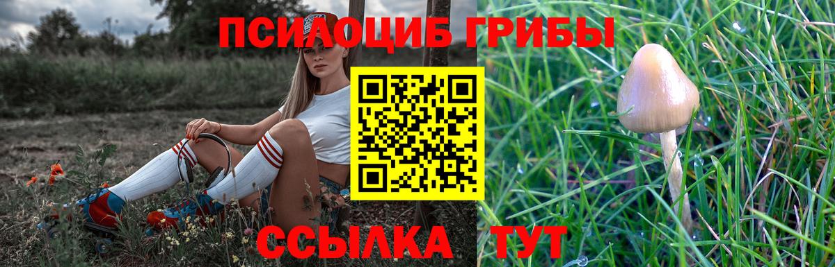 Королёв  Псилоцибиновые грибы прущие грибы  Вход с VPN 