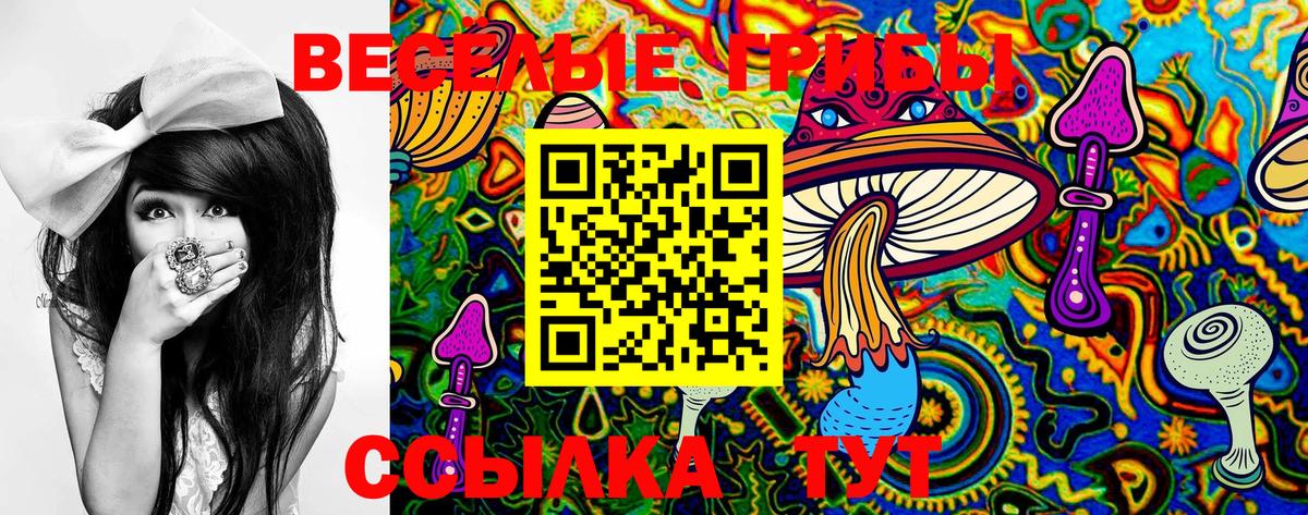 Псилоцибиновые грибы Psilocybe Королёв